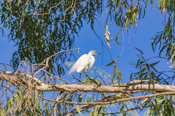 五月旅行推荐:云南大理!